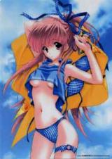 toranoana-mariokaneda01.jpg